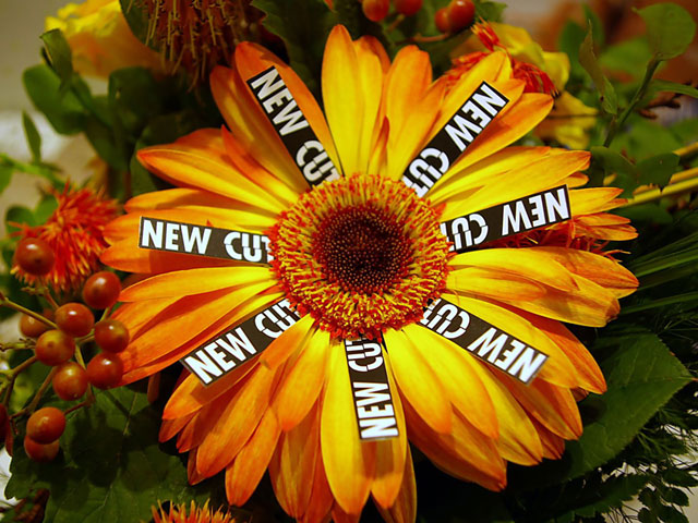 NEW CUT ® HAIRSTYLING - Ihr Friseur in Schwabing, München
